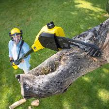 Best Tree Mulching  in Sterling, VA