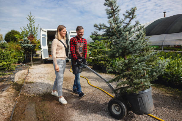Best Aeration Services  in Sterling, VA
